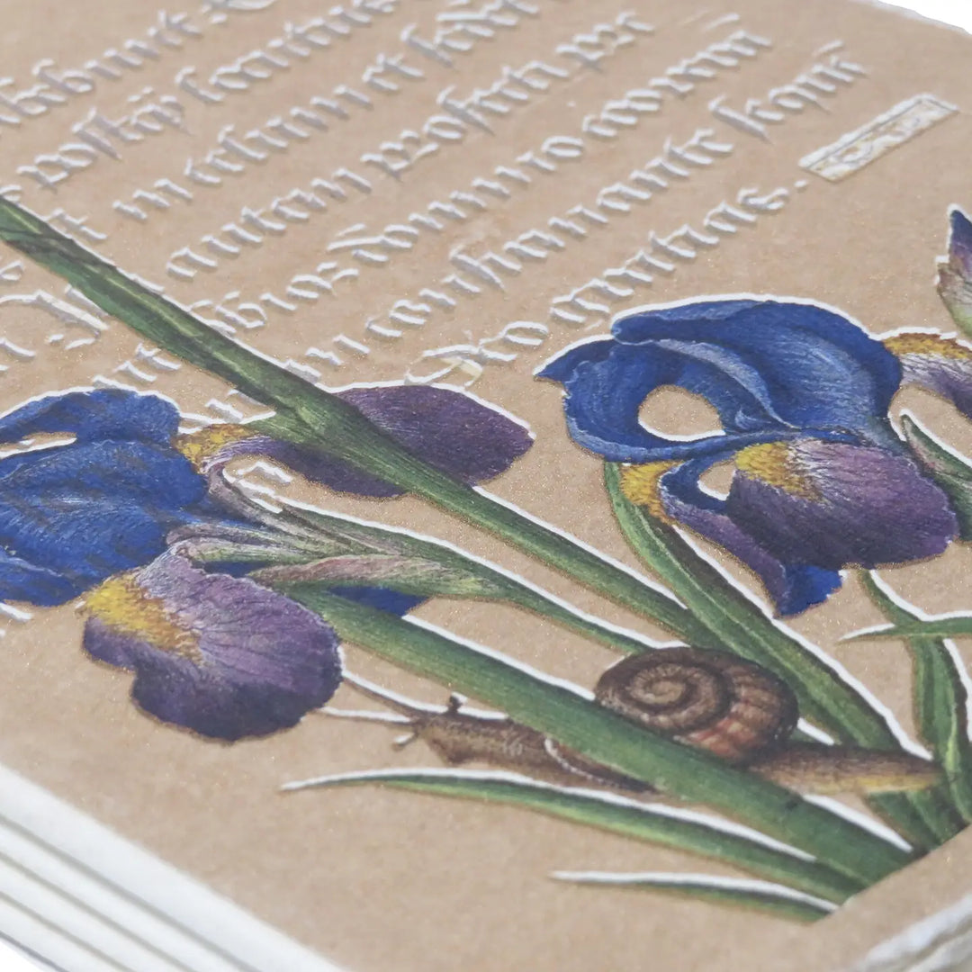 Epigram A5 Parchment Paper Notebook with Irises Gold