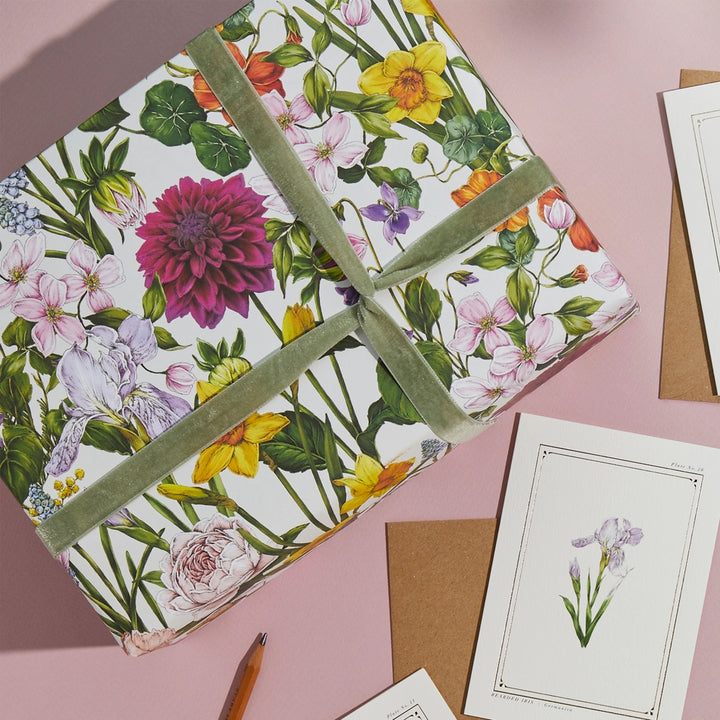 Catherine Lewis Bountiful Blooms - Ivory Gift Wrapping Paper (2 Sheets)