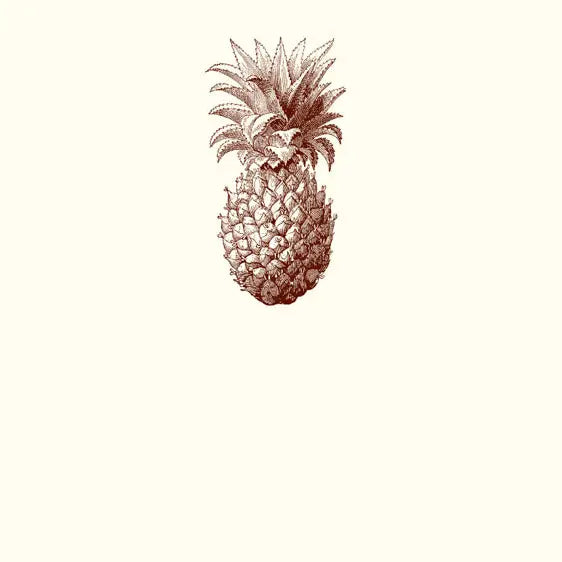 Alexa Pulitzer Pineapple Place Card (10ct)