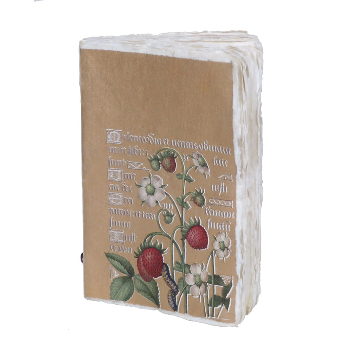 Epigram A5 Strawberries Gold Illumination - Notebook
