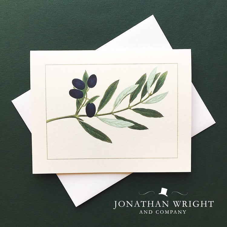 Jonathan Wright and Company - Olive Branch Boxed Notecards 4.25" x  5.5" (8ct)