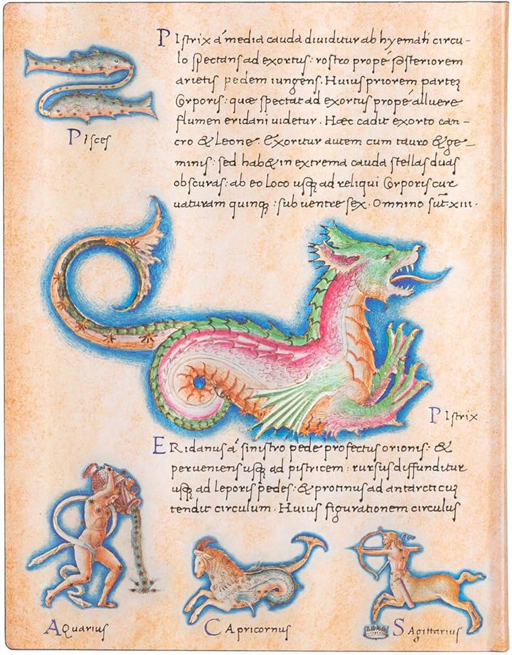 Paperblanks Astronomica Journal