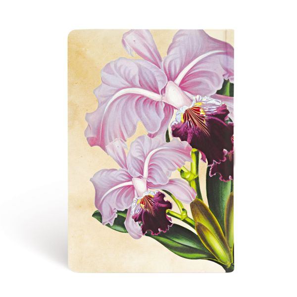 Paperblanks Brazilian Orchid Journal