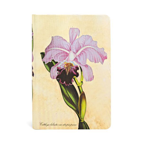 Paperblanks Brazilian Orchid Journal