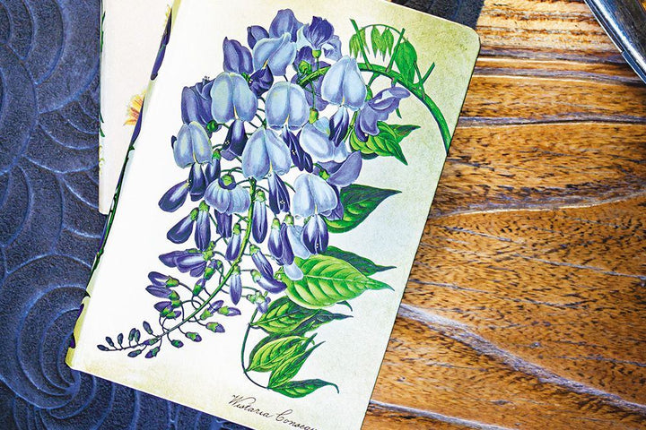 Paperblanks Blooming Wisteria Journal