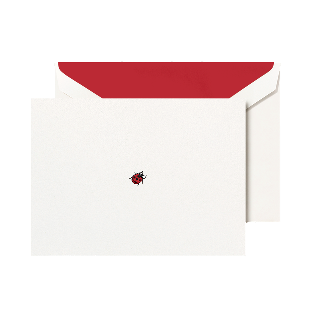 Crane 3 13/16" x 5 3/16" Cards & Envelopes 10pk - Ladybug
