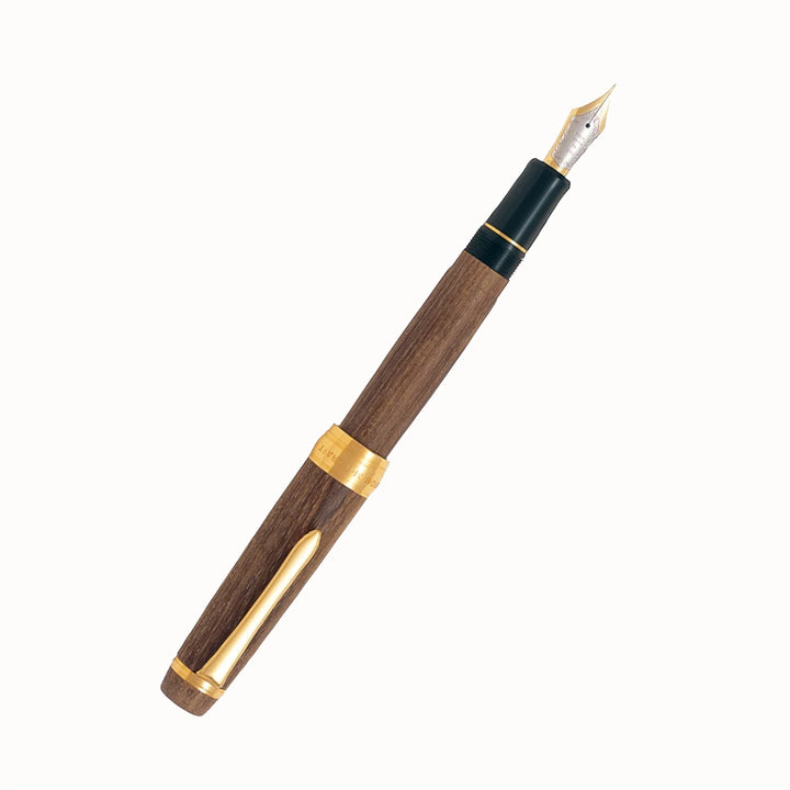 Pilot Custom Enju Fountain Pen