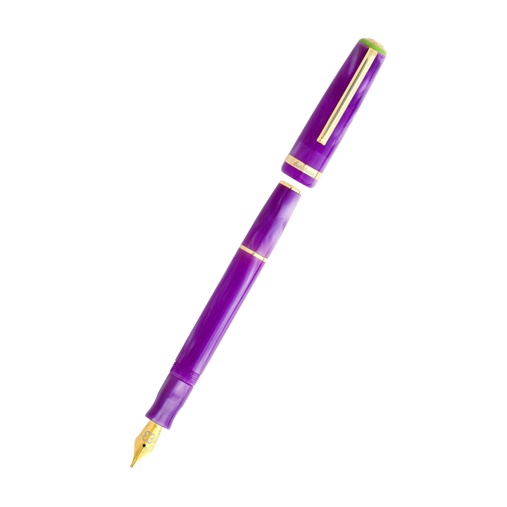 Esterbrook Bundle Set - JR Pocket Pen Purple Passion