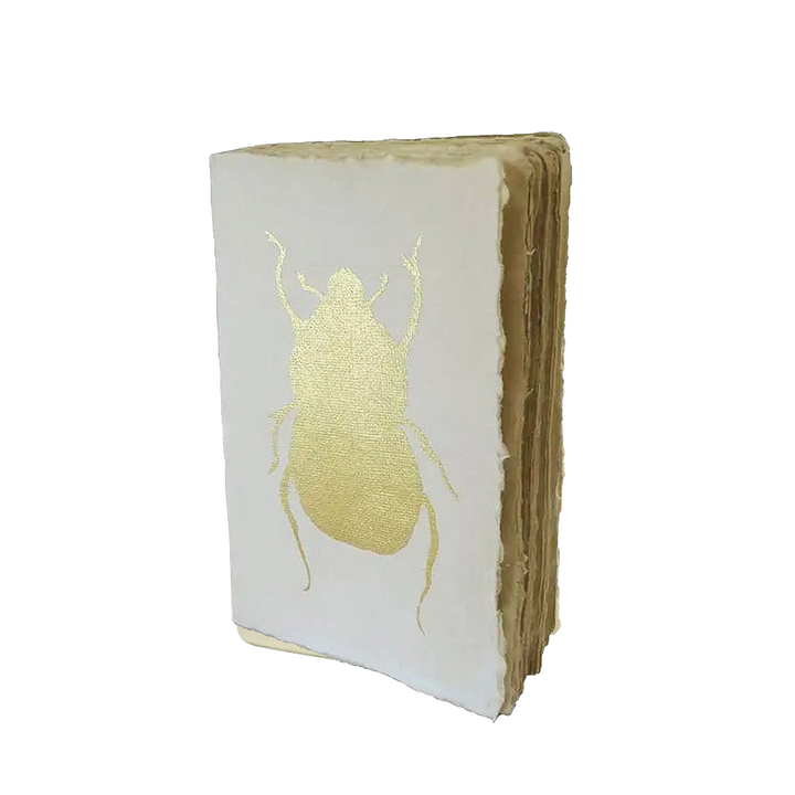 Epigram A5 Butterfly Beetle Curiosity - Notebook