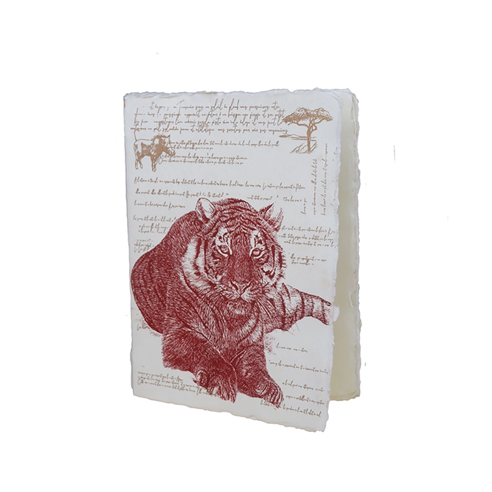 Epigram A5 Tiger Lion Leopard Notebook