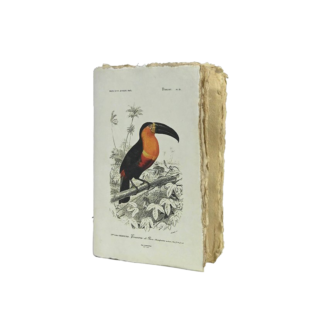 Epigram A5 Vintage Bird Notebook