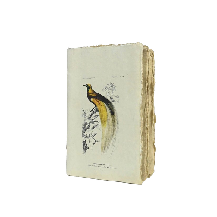 Epigram A5 Vintage Bird Notebook