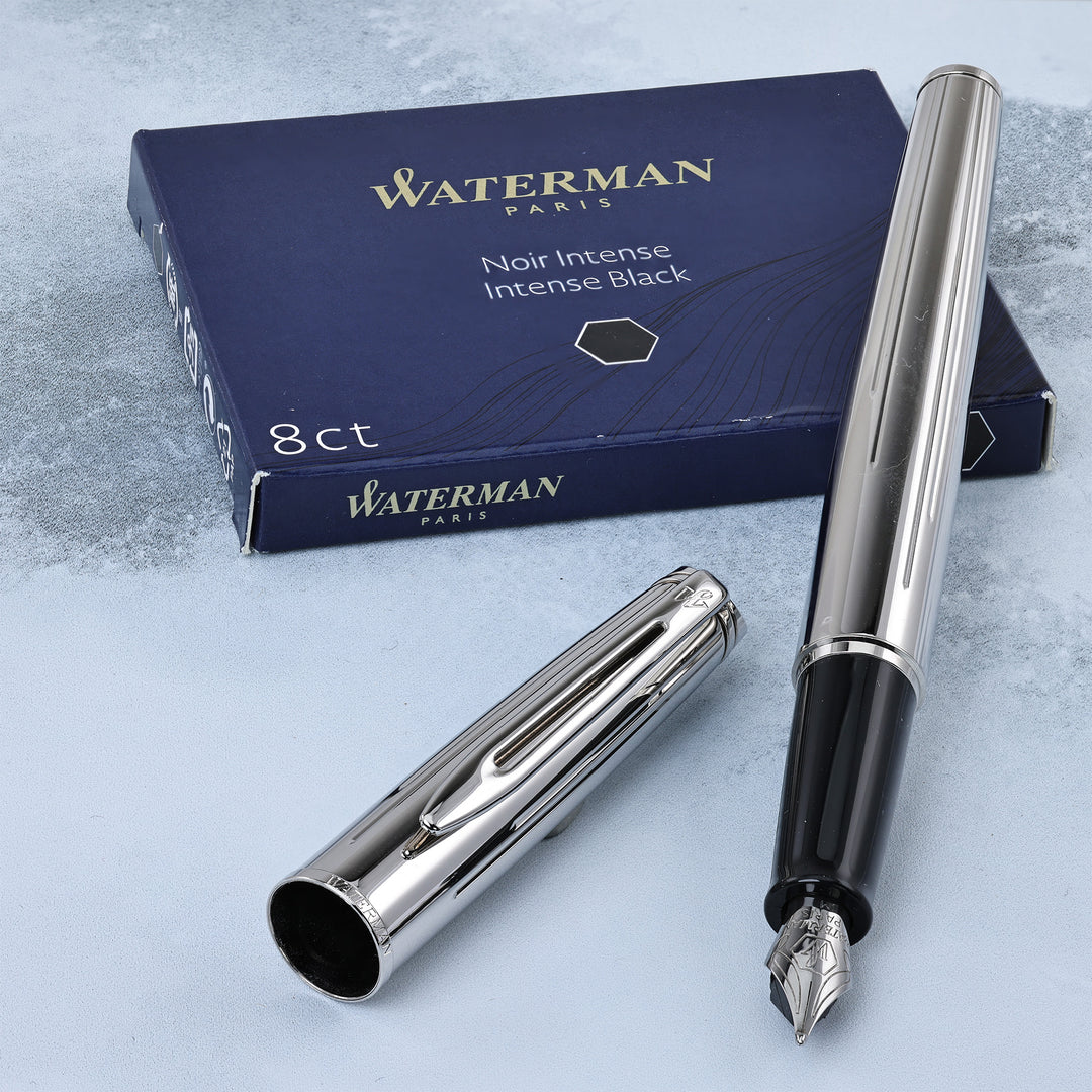 Waterman Expert-Hemesphere Silver Fountain Pen