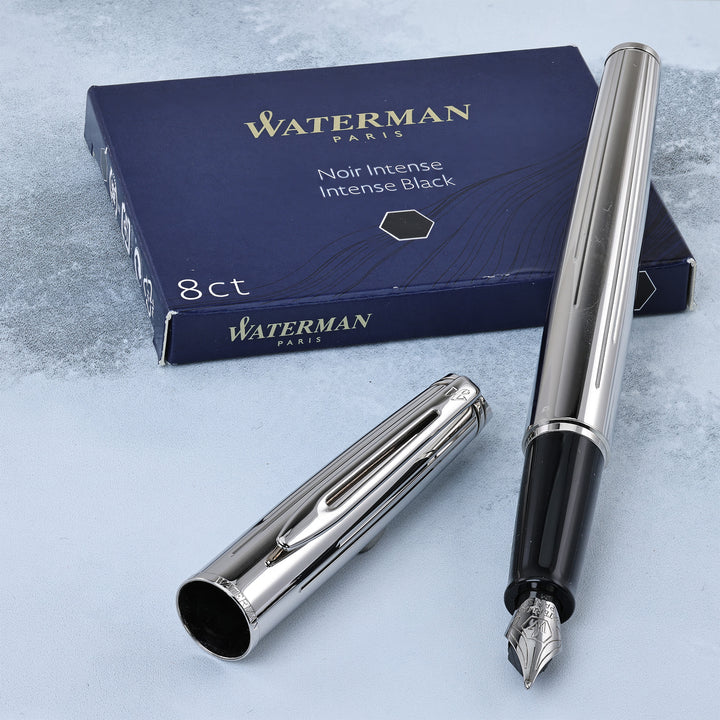 Waterman Expert-Hemesphere Silver Fountain Pen