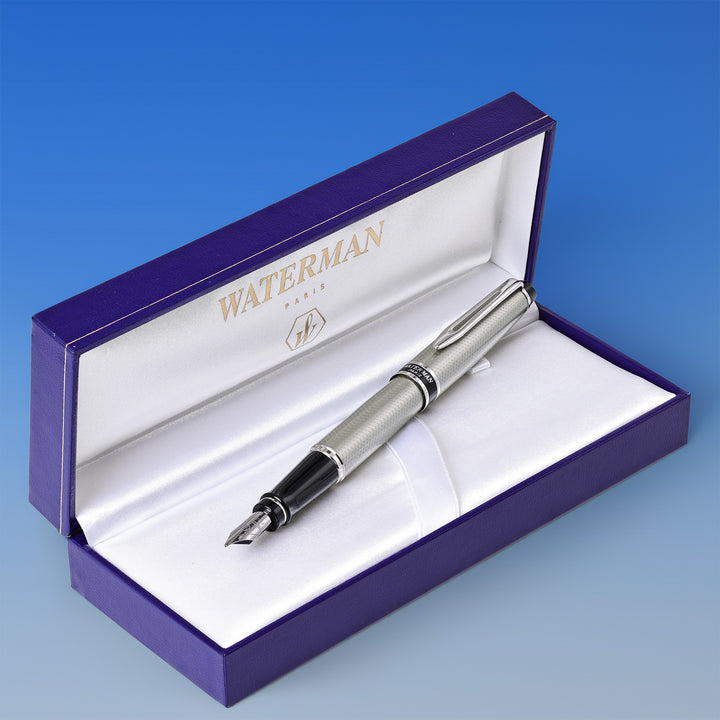 Waterman Expert Silver Chiseled Lacquer Fountain Pen