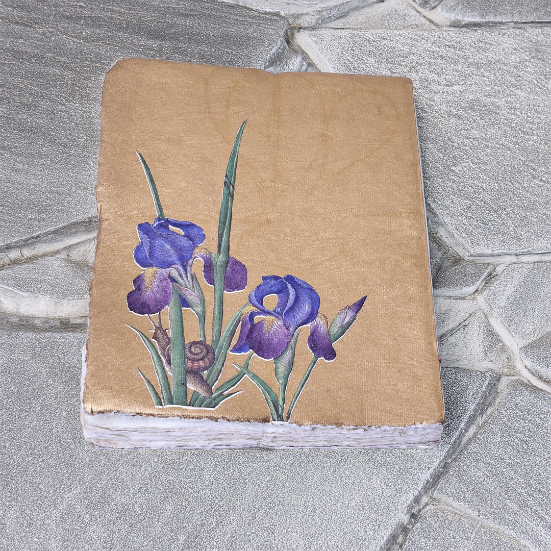 Epigram A5 Parchment Paper Notebook with Irises Gold