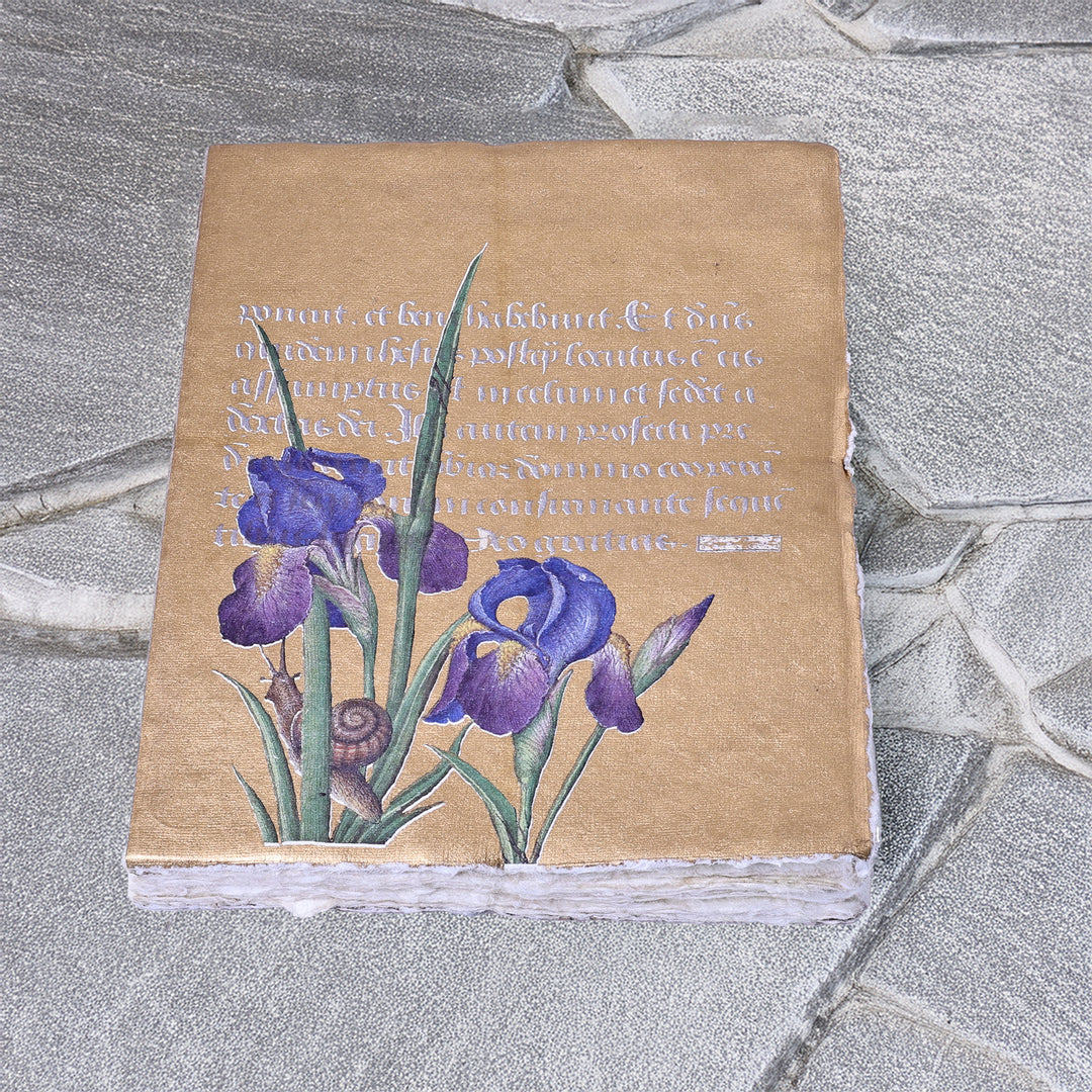 Epigram A5 Parchment Paper Notebook with Irises Gold