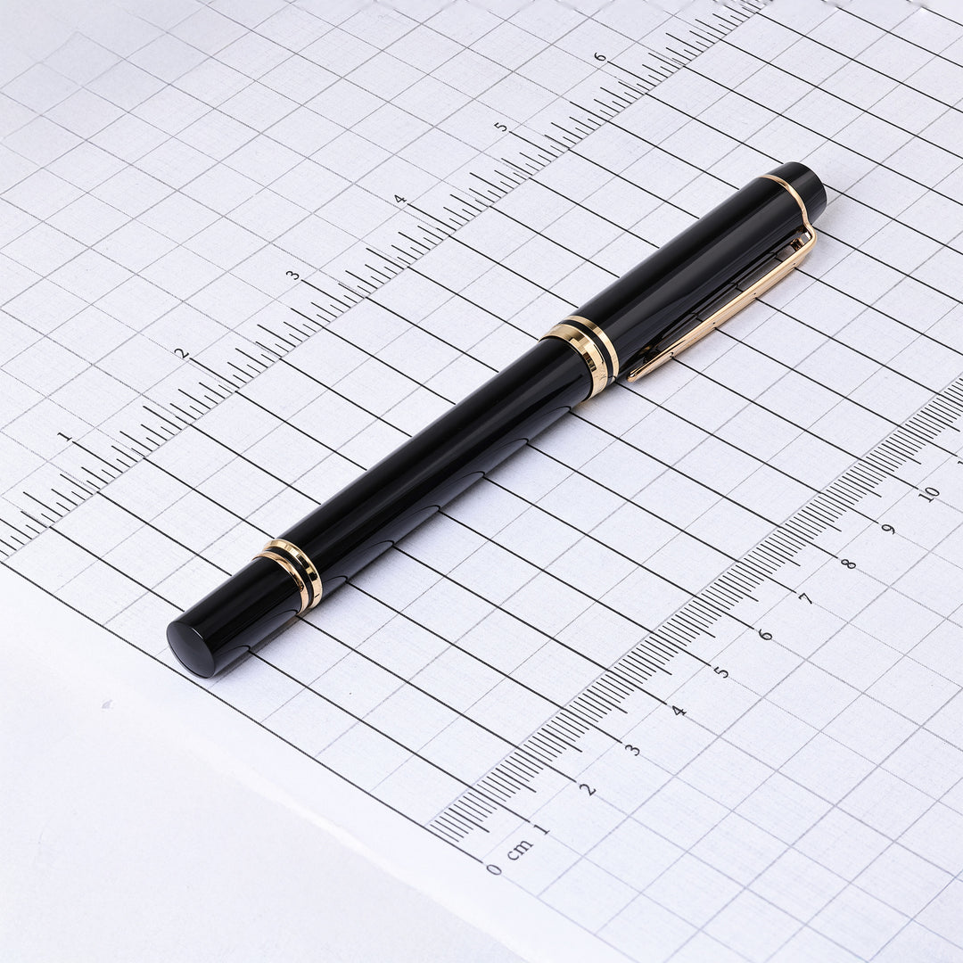 Waterman Le Man 200 Fountain Pen