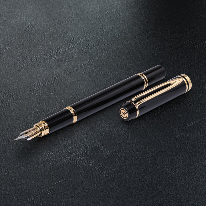 Waterman Le Man 200 Fountain Pen