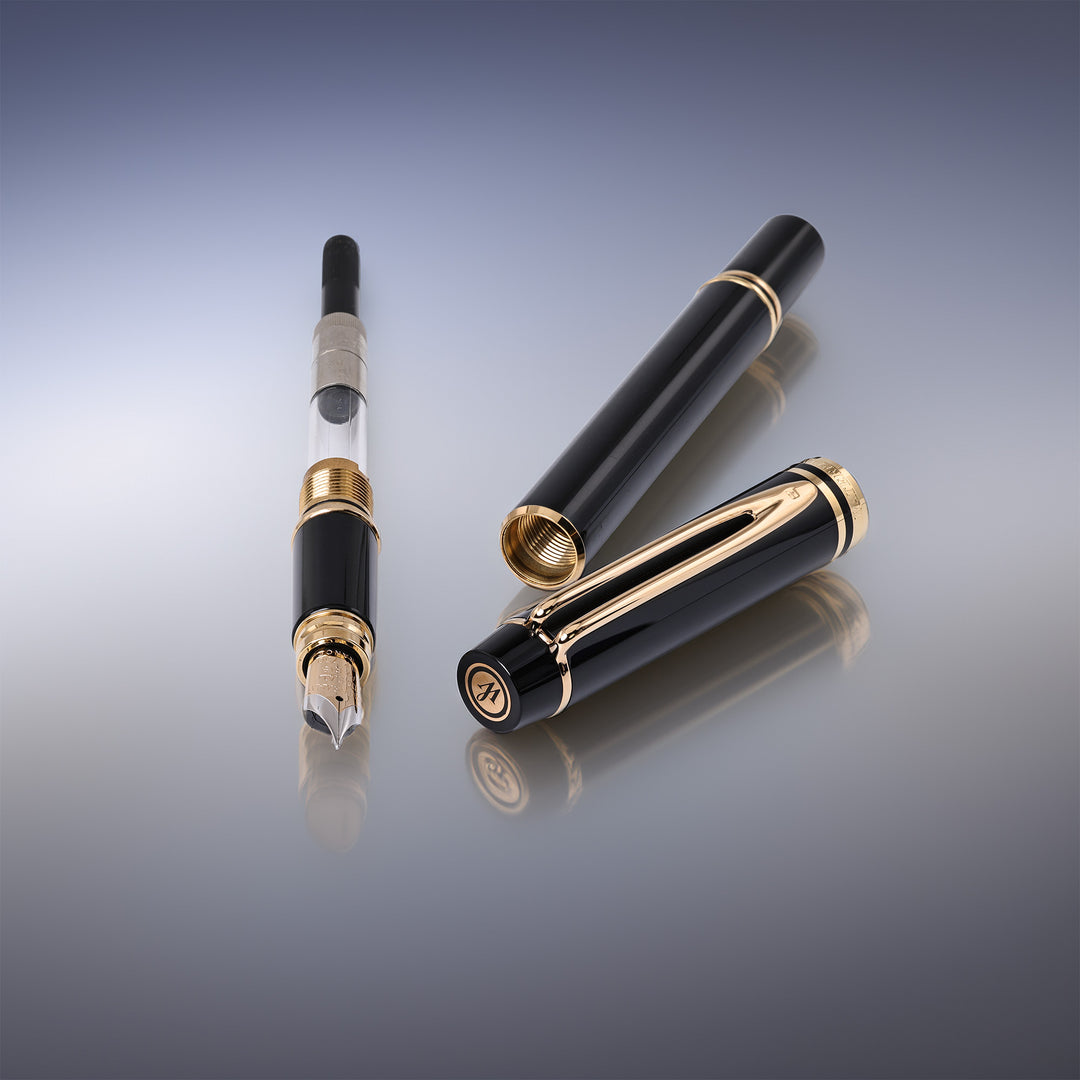 Waterman Le Man 200 Fountain Pen