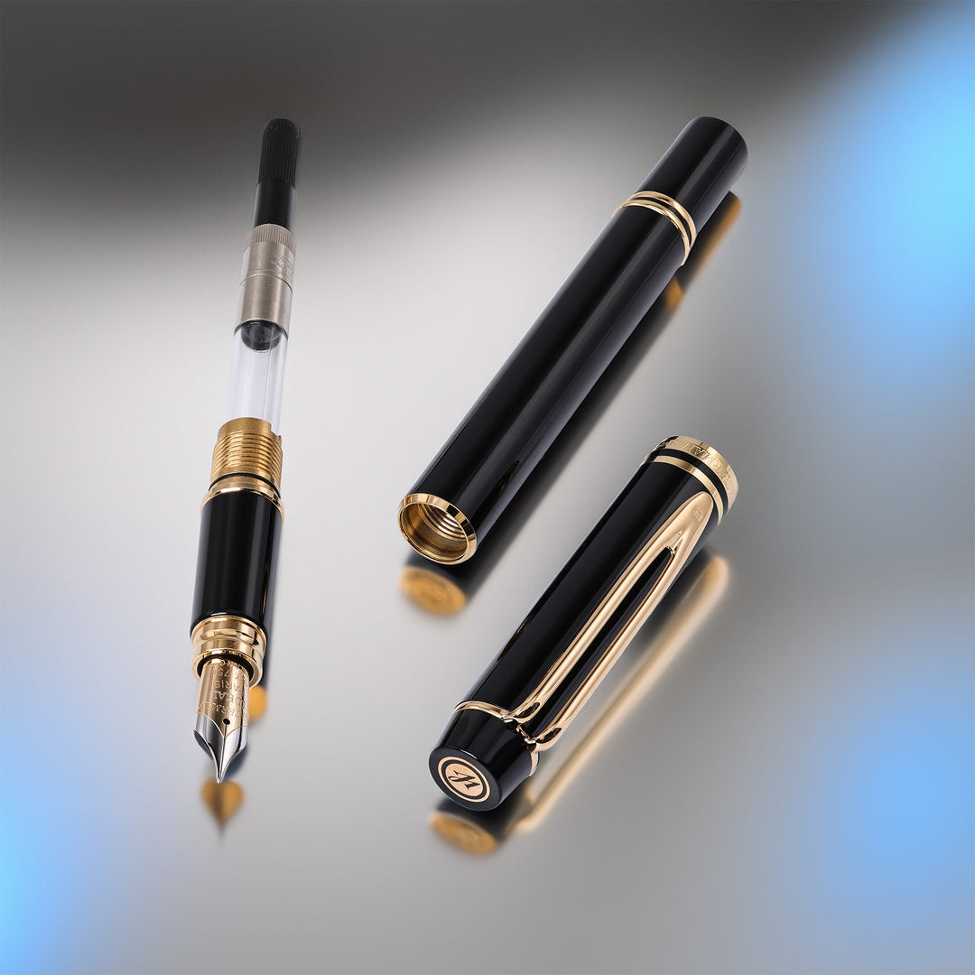 Waterman Le Man 200 Fountain Pen