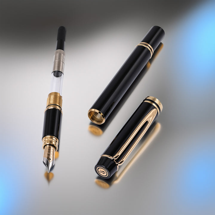 Waterman Le Man 200 Fountain Pen