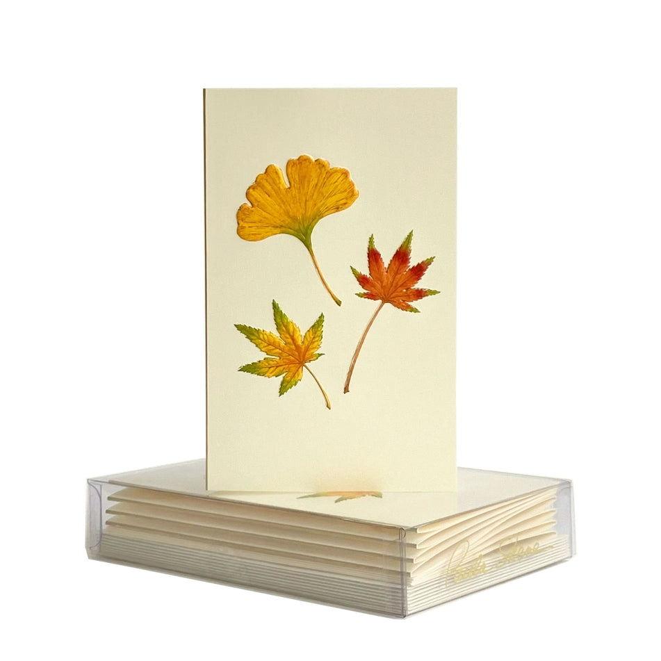 Leaf Medley Mini Note Card & Envelopes (8 ct.) | Paula Skene