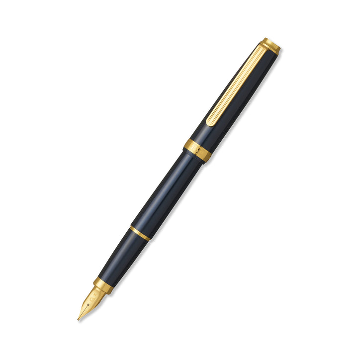 Platinum Biso Nebula Black Fountain Pen