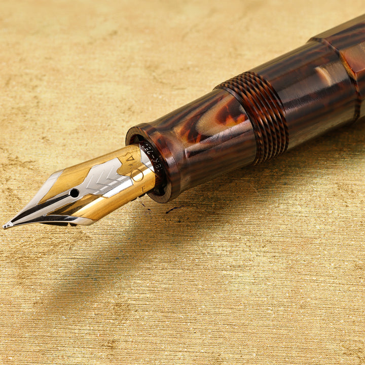 Omas Celluloid Arco Fountain Pen F