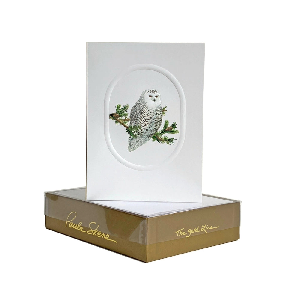 Paula Skene Owl Holiday Boxed Card
