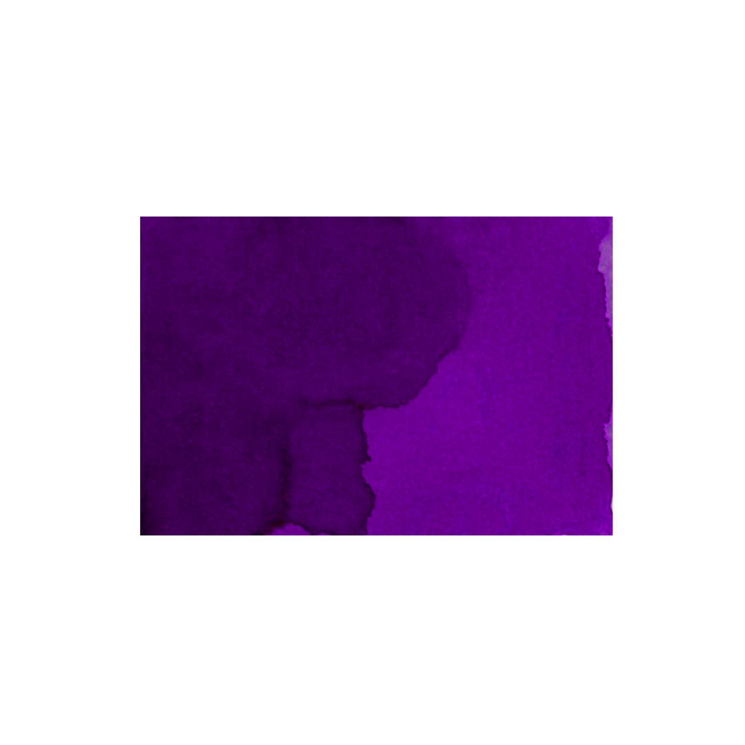 Private Reserve Ink Bottle - Plum 60ml