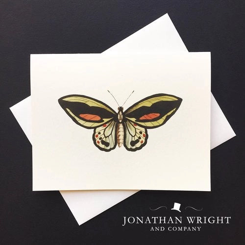 Jonathan Wright and Company - Papillion Exotique Boxed Notecards 4.25" x 5.5" (8ct)