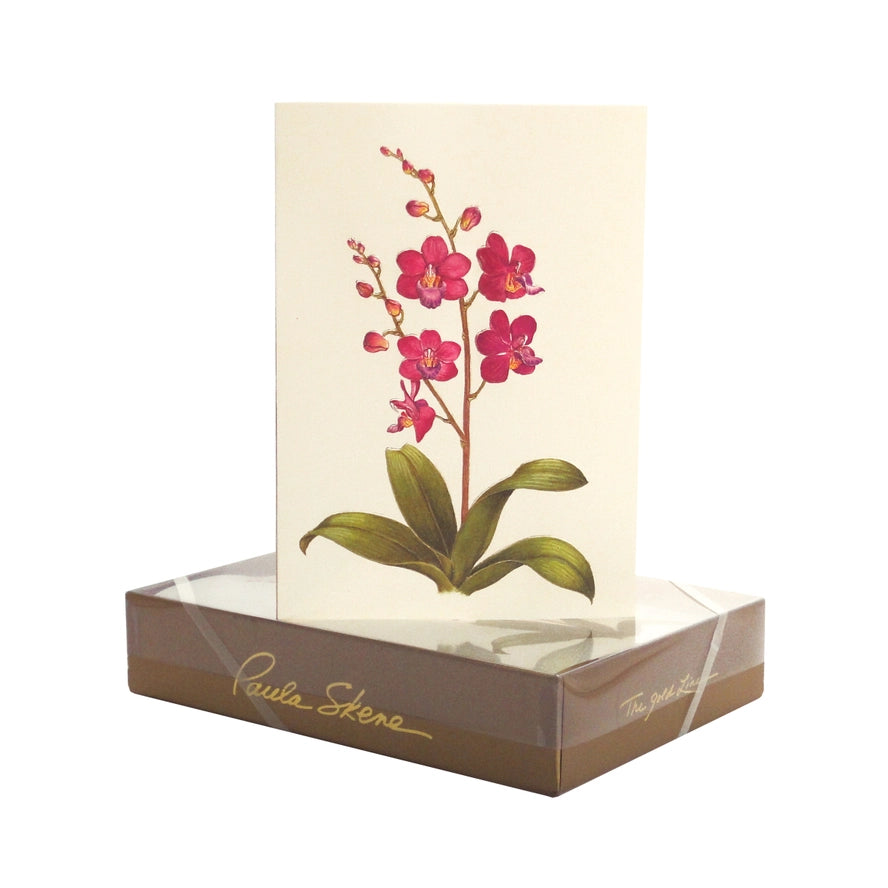 Paula Skene Boxed Notecards (8ct) - Orchid