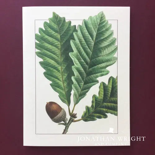 Jonathan Wright and Company - Oak Spring Boxed Notecards 4.25" x 5.5" (8ct)