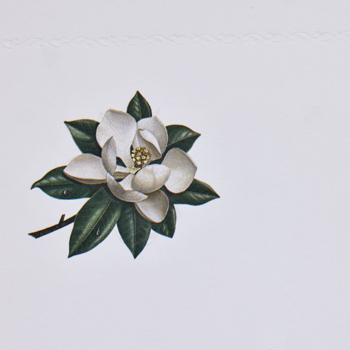 “Magnolia” Writing Set ( 10CT.) 6.25" x 8.50" I Rossi 1931 Italian Stationery
