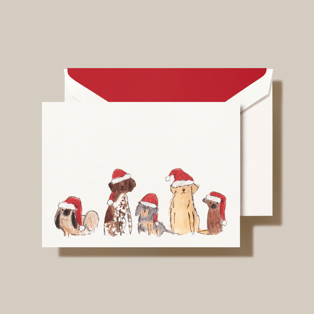 CRANE Santa Dogs Note Cards and Envelopes (10ct.)