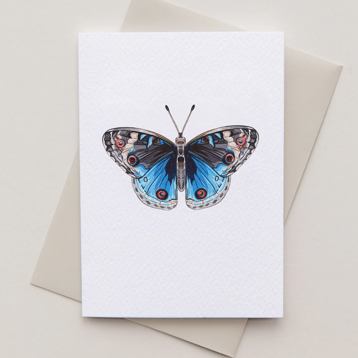 Sophie Brabbins - Mini Greeting Cards Pack (3 designs per pack)