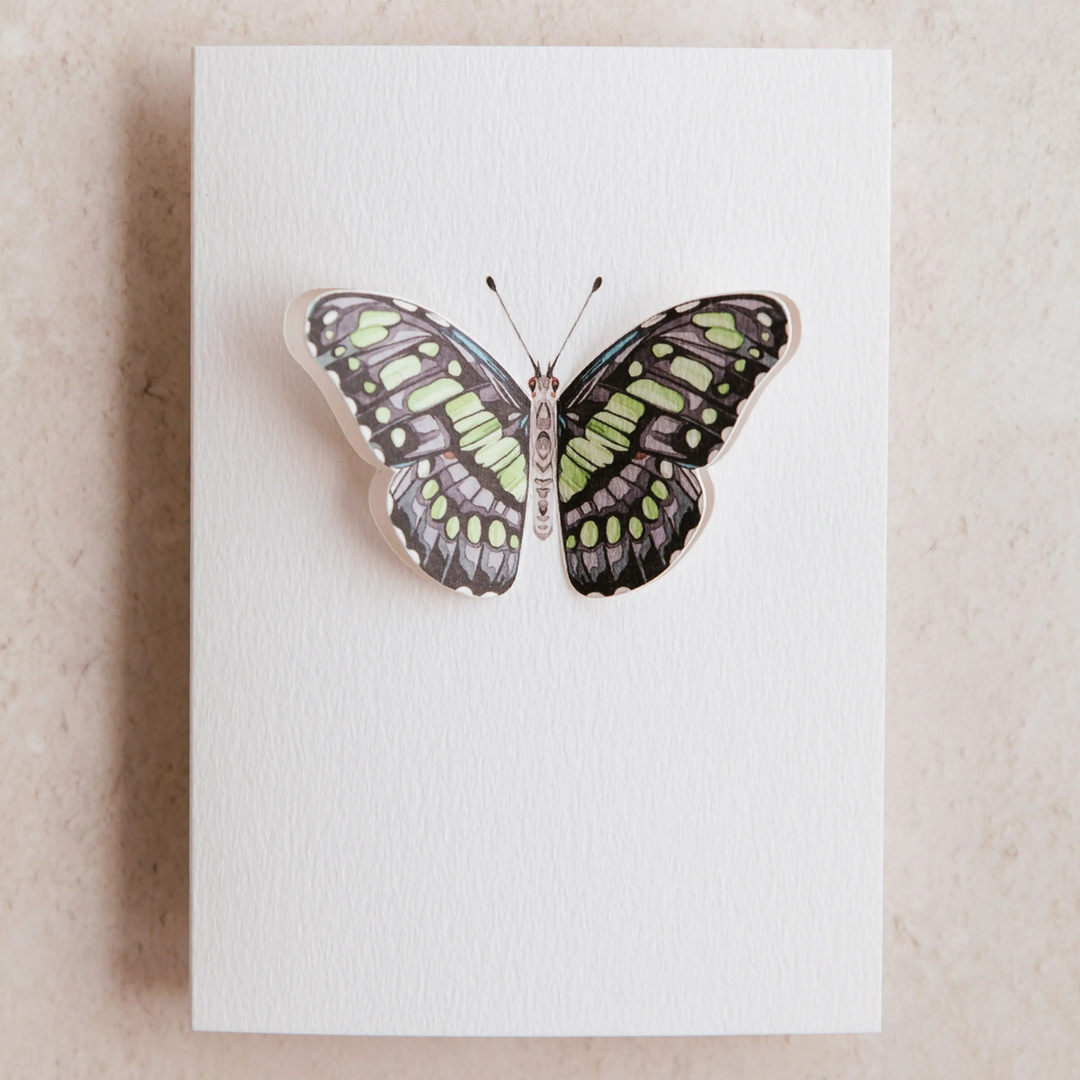 Sophie Brabbins - 3D Greeting Cards
