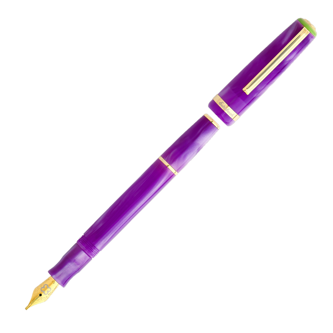 Esterbrook JR Paradise Pocket Fountain Pen - Purple Passion