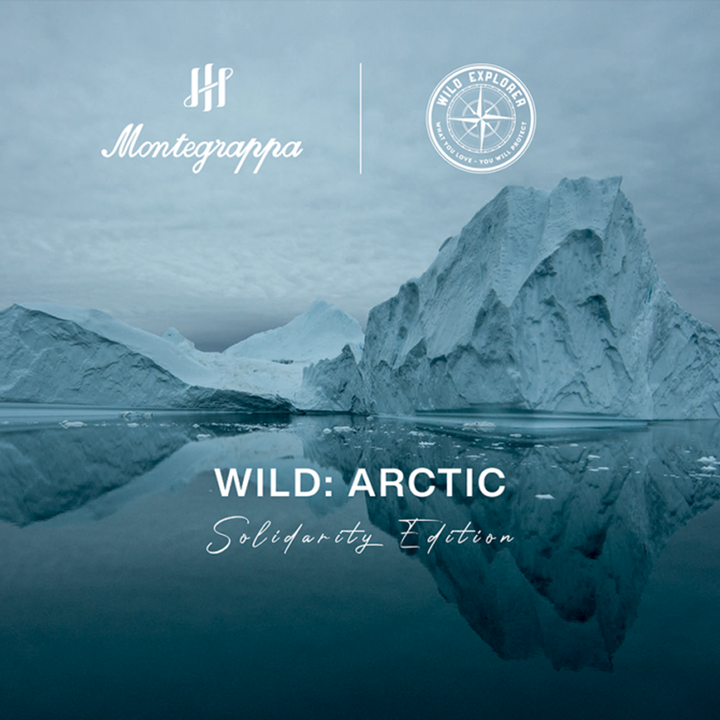 Montegrappa Wild: Arctic LE Fountain Pen