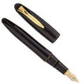 Platinum 3776 Century Biwatame #30 PIZ-55000 Fountain Pen Nib Sizes - Image 2