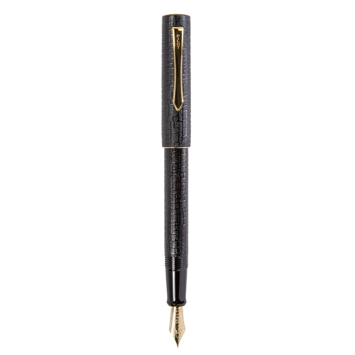 Pilot Ishime Fountain Pen