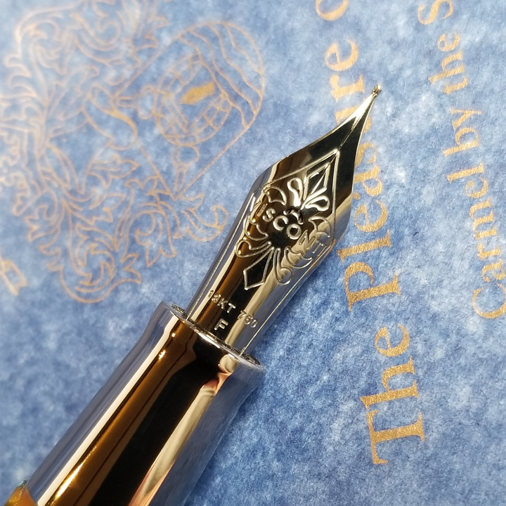 The Pleasure of Writing Limited Edition "Lovers Point" from Visconti - Fountain Pen