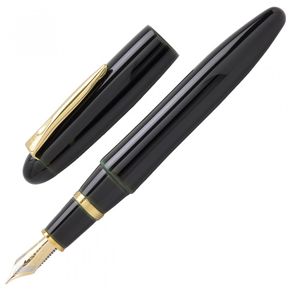 Platinum Izumo Urushi Fountain Pen - Soratame